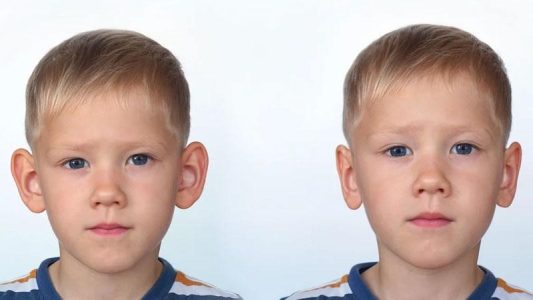 گوش بلبلی چیست